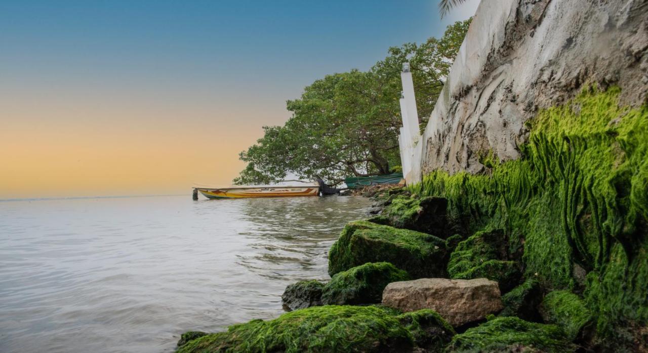Hiru Lagoon Negombo Dış mekan fotoğraf